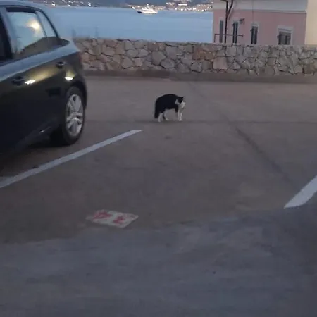 Casa Sul Mare لا ماداّلينا